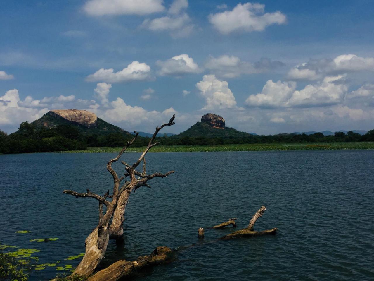 Perfect Hideout Ξενοδοχείο Dambulla Εξωτερικό φωτογραφία
